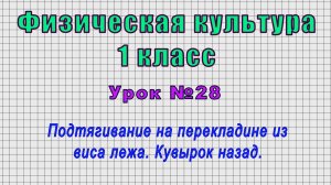 Физическая культура.1 класс (Урок№28 - Подтягивание на перекладине из виса лежа. Кувырок назад.)