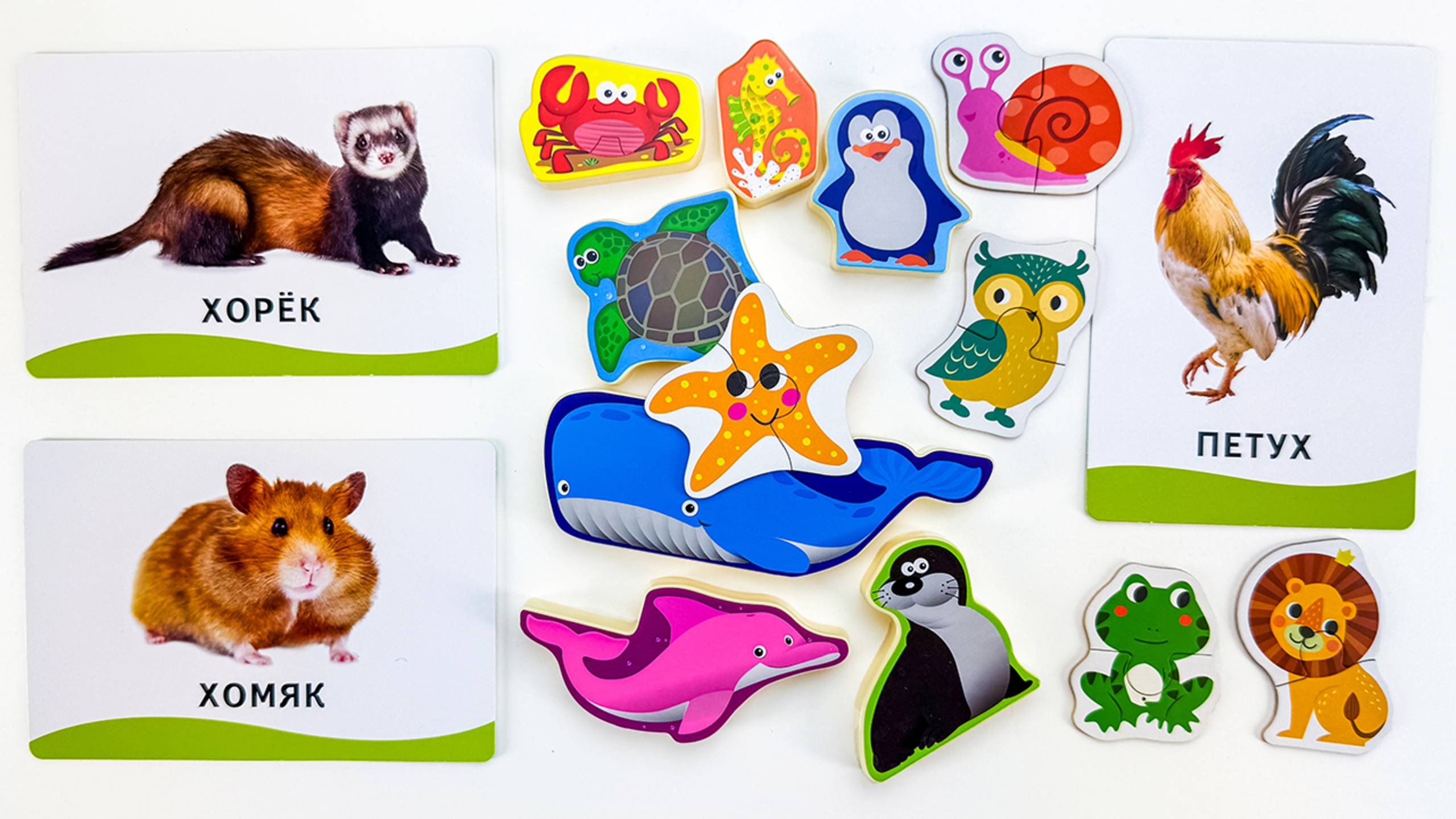 Малыш Учит Названия Животных 🐯🦓 Развивающее Видео для Запуска Речи 🎉🐾 смотреть онлайн