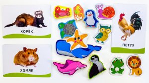 Малыш Учит Названия Животных 🐯🦓 Развивающее Видео для Запуска Речи 🎉🐾