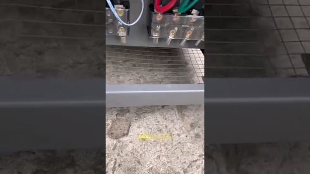 Установили в авто техцентре трёхфазный стабилизатор Ресанта ach 30000/3-ц 30 киловатт. смотреть онлайн