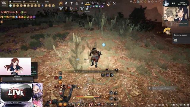 Руины храма Тунра Фарм и Замер #BlackDesertOnline#БДО#BDO#Гигант#