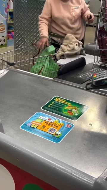 Какая НАГЛОСТЬ! Люди стали в магазин с обезьянками ходить! смотреть онлайн