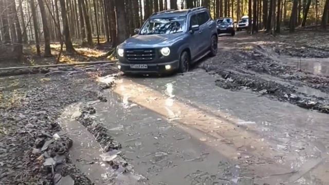 Дарго на бездорожье