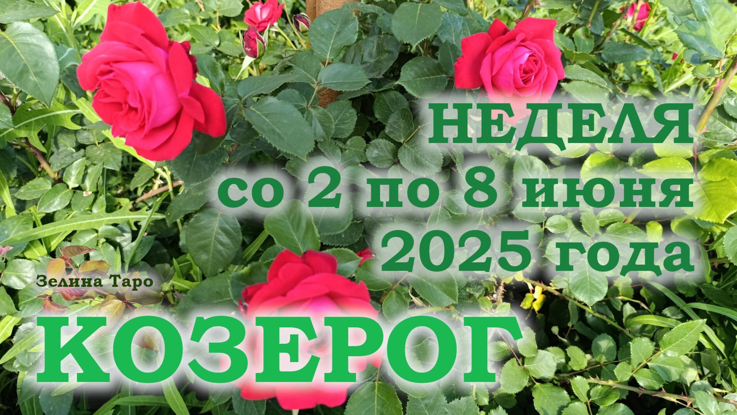 КОЗЕРОГ | ТАРО прогноз на неделю со 2 по 8 июня 2025 года