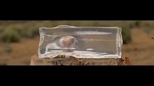 Останавливающие действие пули Константин Конев и Андрей Уланов