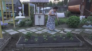 6 соток 31 мая 2025 года. 2 часть.