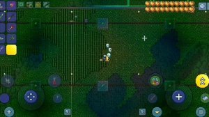 как сделать ферму хлорофита в террари