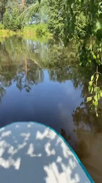 Прогулка на сапах #ВаняPro #youtube #youtubeshorts #shorts #shortvideo #росс смотреть онлайн