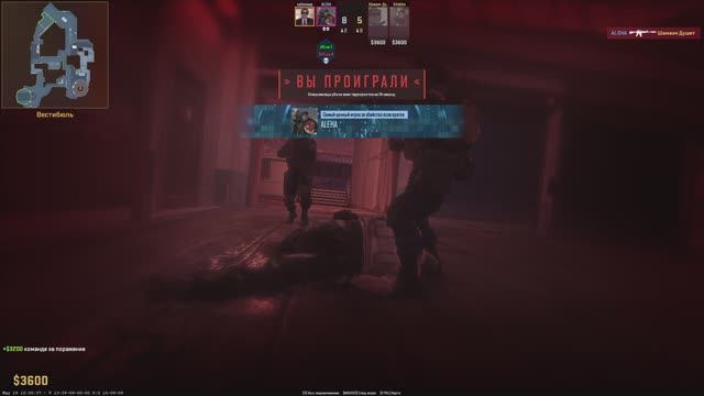 КС2 Напарники на Рутубе#топыкатегорий