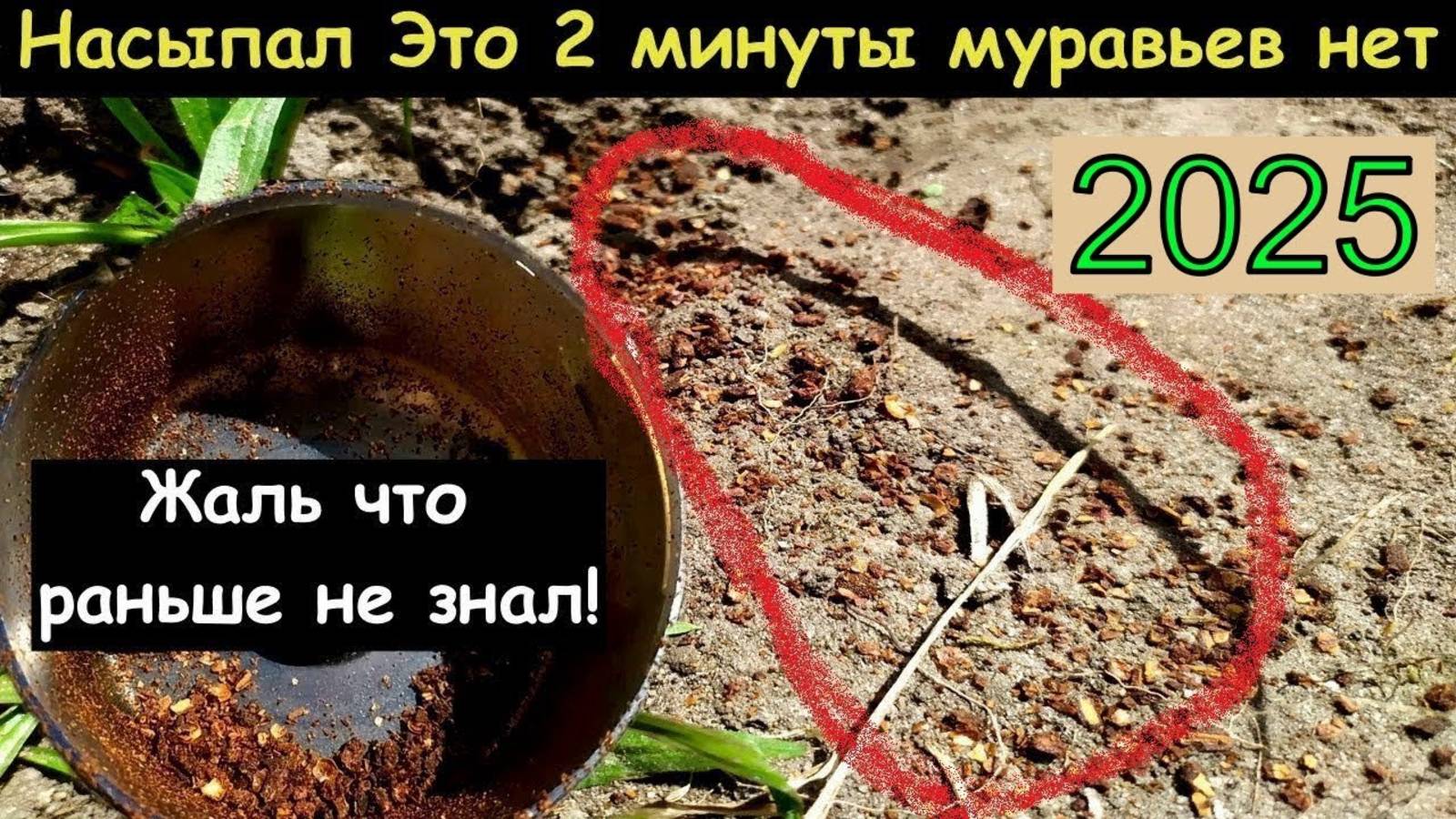 МУРАВЬИ БОЯТСЯ МОЛОТКА СРАЗУ УЙДУТ НАВСЕГДА! БЫСТРЫЙ СПОСОБ КАК ИЗБАВИТЬСЯ ОТ МУРАЬЕВ смотреть онлайн