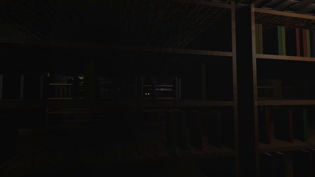 Nox Timore - Они следят за мной!!!