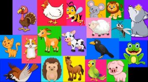 Как говорят животные, обучающий мультфильм для детей и малышей, песенки для детей