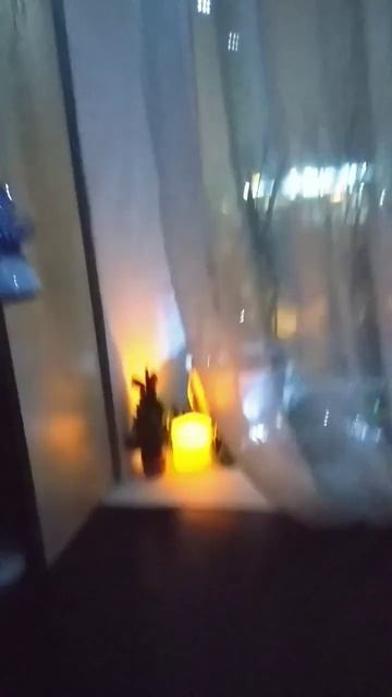 /shorts решила сделать себе райский уголок с Новогодним н смотреть онлайн