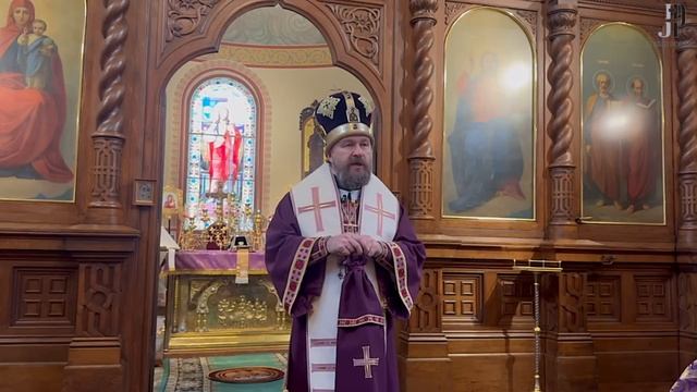 В ТЕНИ ЭТОГО ДРЕВА смотреть онлайн