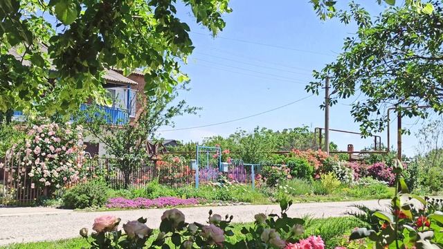 Как выглядят все мои цветники вдоль дороги! смотреть онлайн