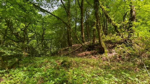 Марафон Природы 1 день. смотреть онлайн