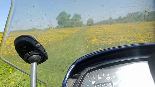 Жизнь в стиле: секреты гармонии и вдохновения Блогмен55