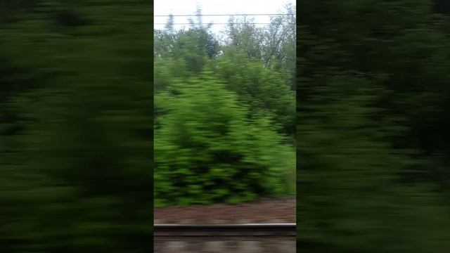 еду в свой город с Иловайска в Харцызск смотреть онлайн