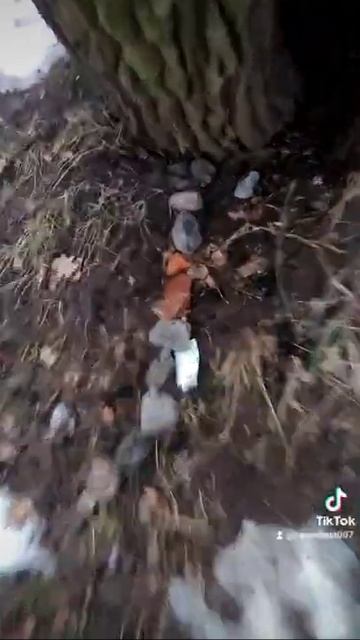 Деревянные деревья дуб та береза 😊 смотреть онлайн
