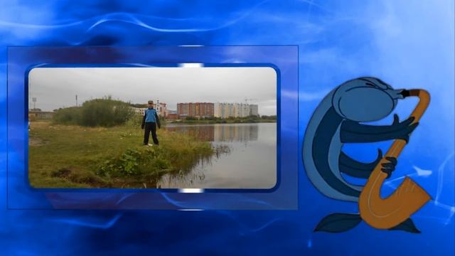 Дельфин стиль смотреть онлайн