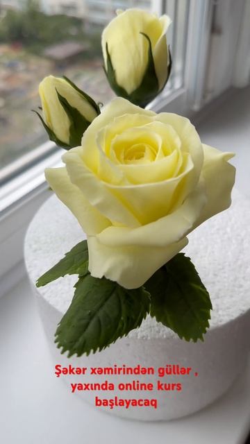 Цветы из мастики смотреть онлайн