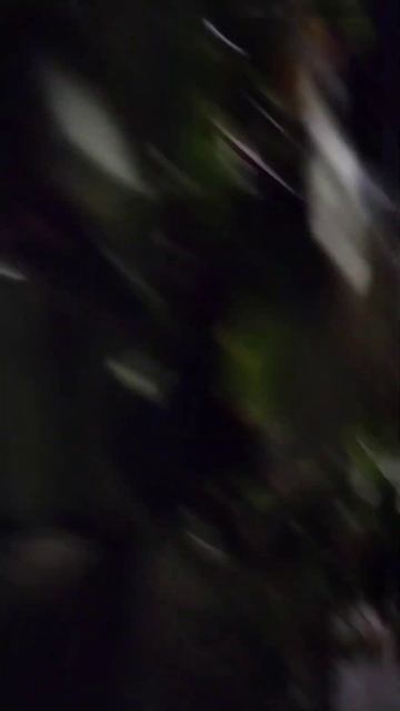 Кажется мои растения очень быстро растут😅 смотреть онлайн