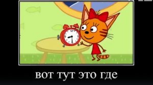 МУД ТРИ КОТА