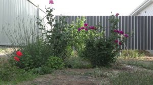 Чем заняться в нерестовый запрет