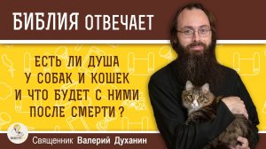 Есть ли душа у собак и кошек и что будет с ними после смерти ? Священник Валерий Духанин