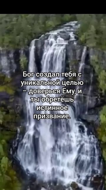 У тебя есть цель и предназначение подпишись чтобы пол? смотреть онлайн