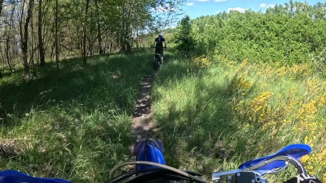Тропа в оленем логу смотреть онлайн