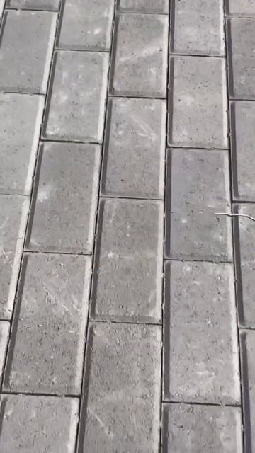 Укладка тротуарной плитки смотреть онлайн