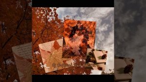 .｡o○Кленовница。|Плейлист|~Коты воители/Warrior Cats~.Одерж?