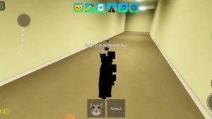 Гайд как получить секретного кота в Roblox игра с котятам