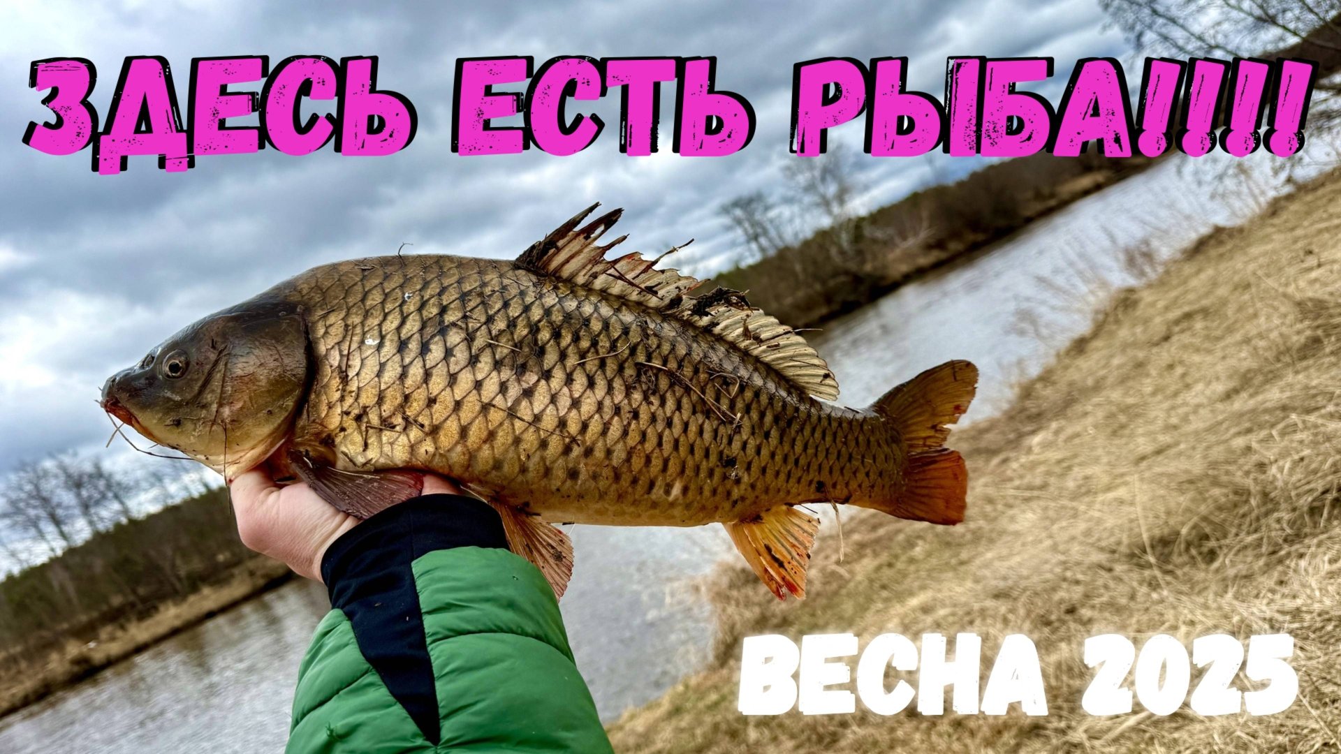 ️ЭТО ЛУЧШАЯ РЫБАЛКА ВЕСНОЙ, НА КАСТИНГОВУЮ СЕТЬ!!! смотреть онлайн