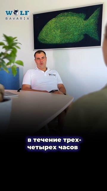 Услуга шеф монтаж #звукоизоляция #монтажзвукоизоляци? смотреть онлайн