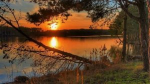 Подмосковные вечера