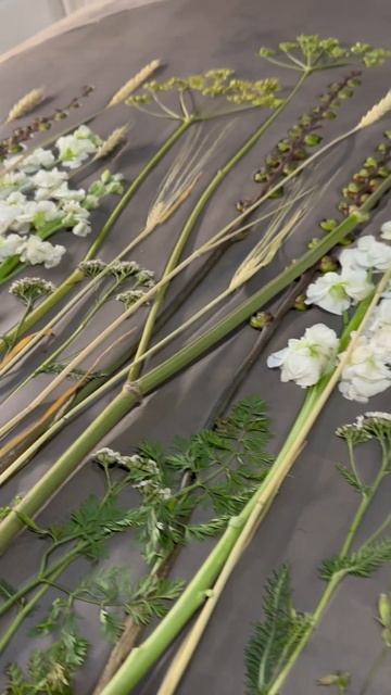 Каталог работ тут https://t.me/PANNOkatalog ботанический барелье? смотреть онлайн