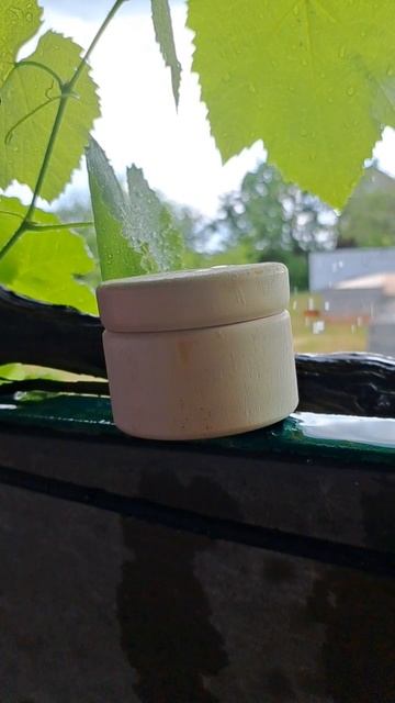 заготовка шкатулки для декорирования из цельного дерева