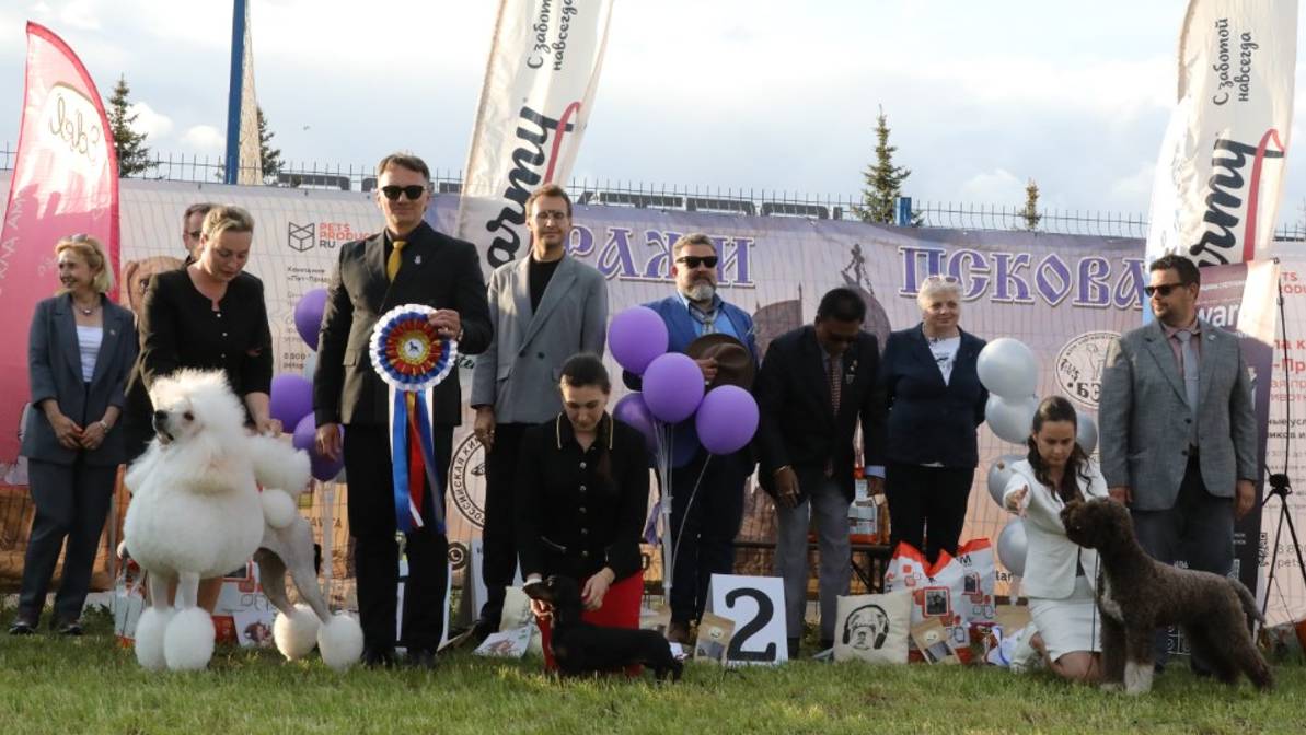 31.05.2025, Псков. Клуб КСиДС (РКФ, РФСС). Рейтинговая выставка ПСКОВСКИЙ РУБЕЖ (САС, ЧРКФ) смотреть онлайн