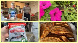 КАРТОШКА посажена. Накрутила ФАРША. Столько лет пролежала БЕЗ ДЕЛА😂