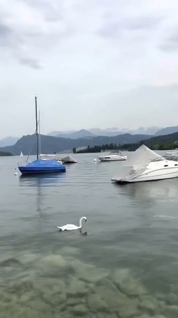 Именно это и есть Высшая сила/Бог смотреть онлайн