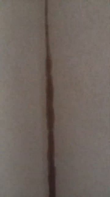 жидкие обои Караганда смотреть онлайн