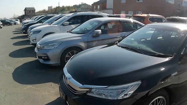 Зелёный угол -растут ли цены? Что в продаже? смотреть онлайн
