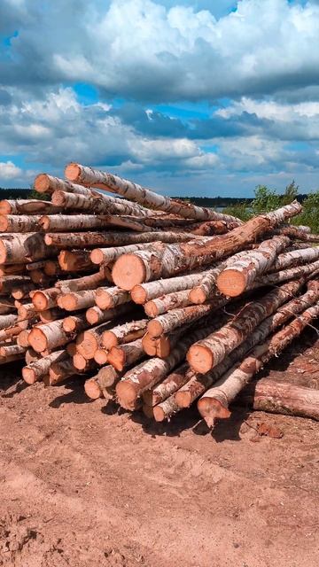 Навеянное произведением Некрасова. смотреть онлайн