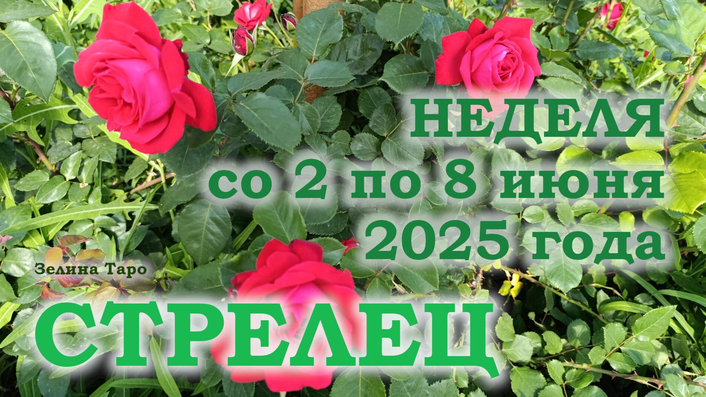 СТРЕЛЕЦ | ТАРО прогноз на неделю со 2 по 8 июня 2025 года