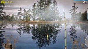 Как поймать ёрш обыкновенный в игре My Fishing World