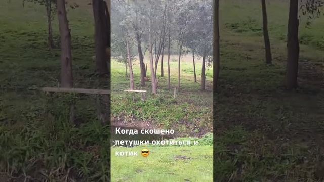 Как вам поликарбонат монолит? смотреть онлайн