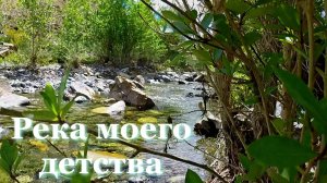 Алтай, река моего детства. Где самая чистая река? Секреты и хитрости рыбалки. Река моего детства.