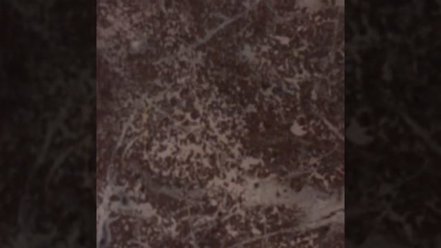 Венецианская штукатурка смотреть онлайн